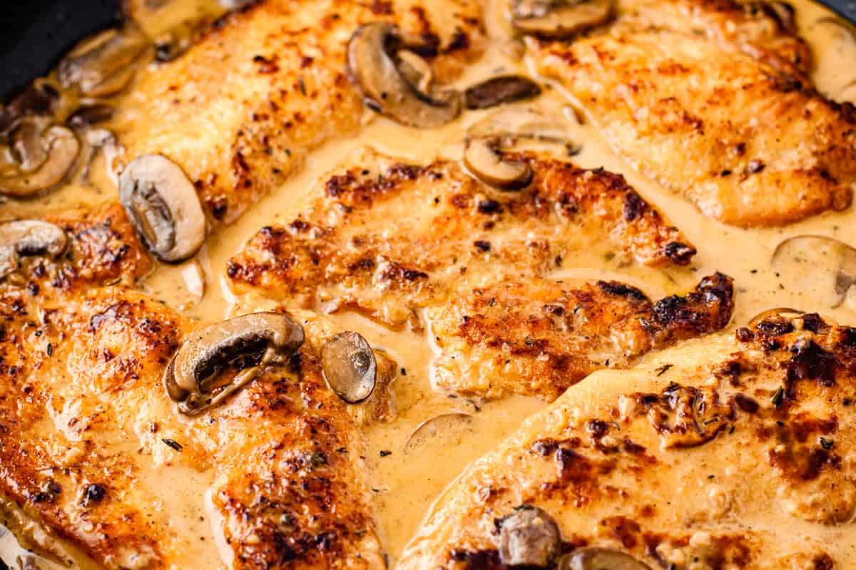 Golden brown chicken breasts shown in a skillet of marsala sauce and mushrooms.