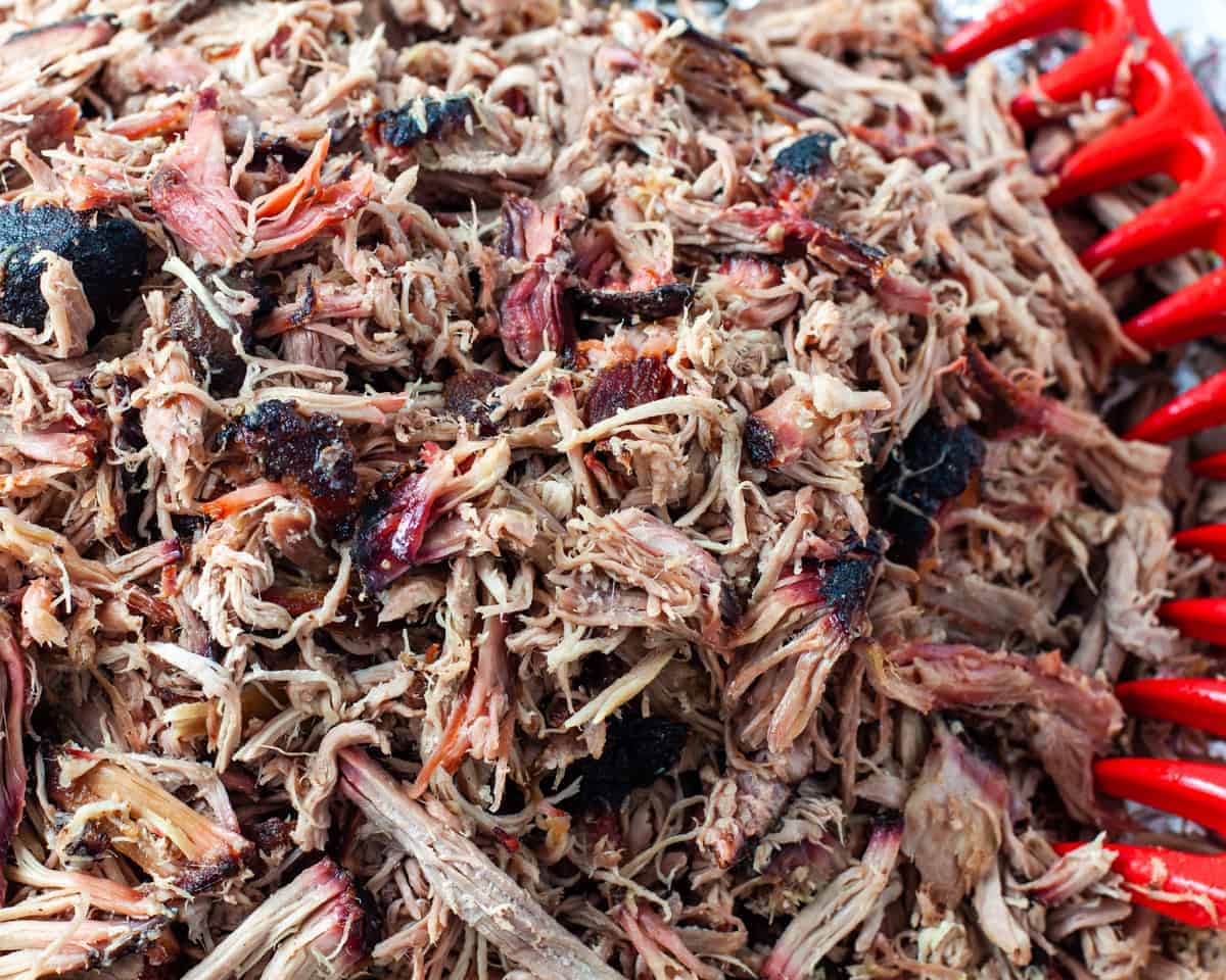 Shredded pulled pork on pan.