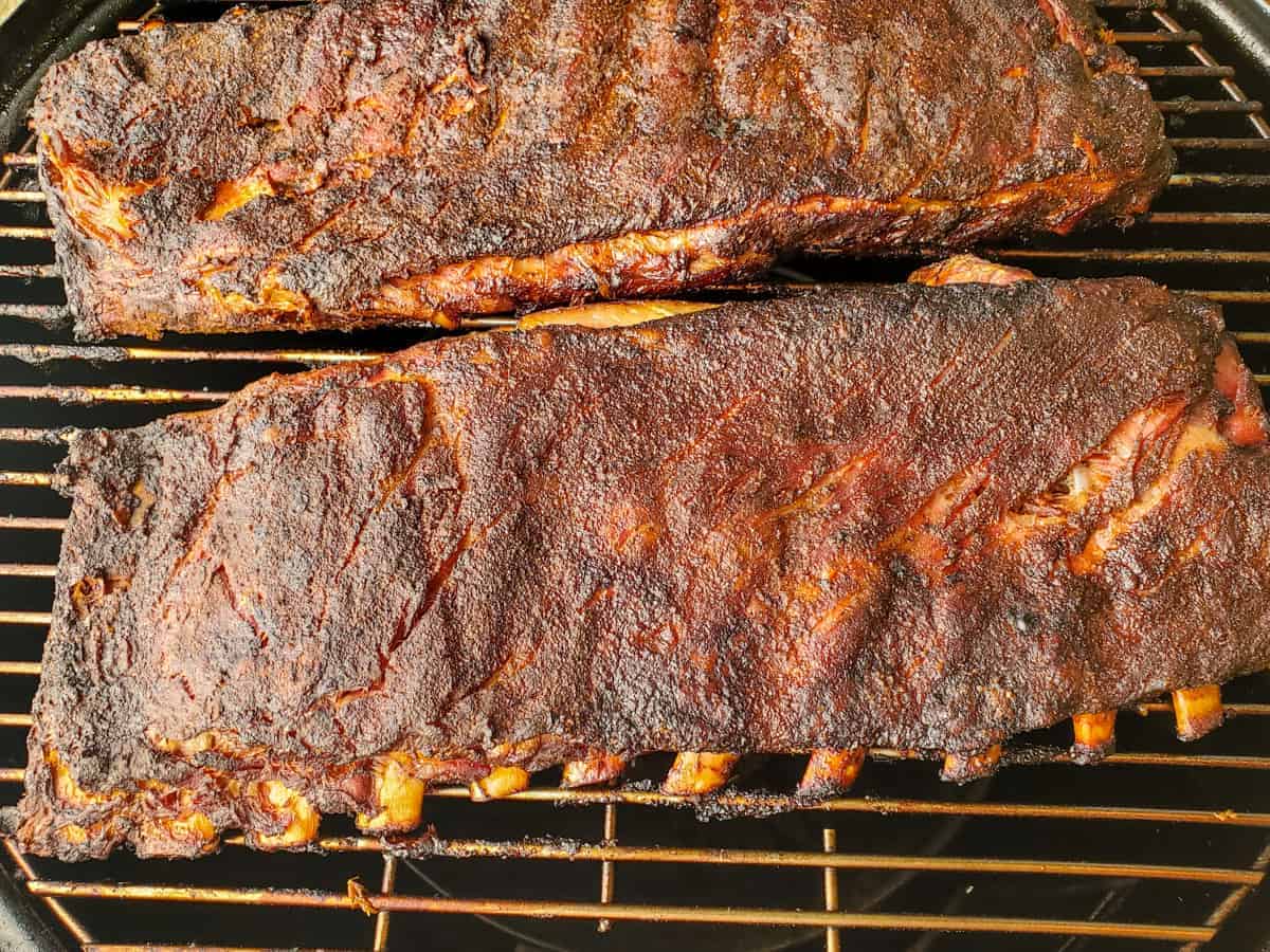 Ribs shown on the smoker after cooking with the meat pulling back slightly from the bones.