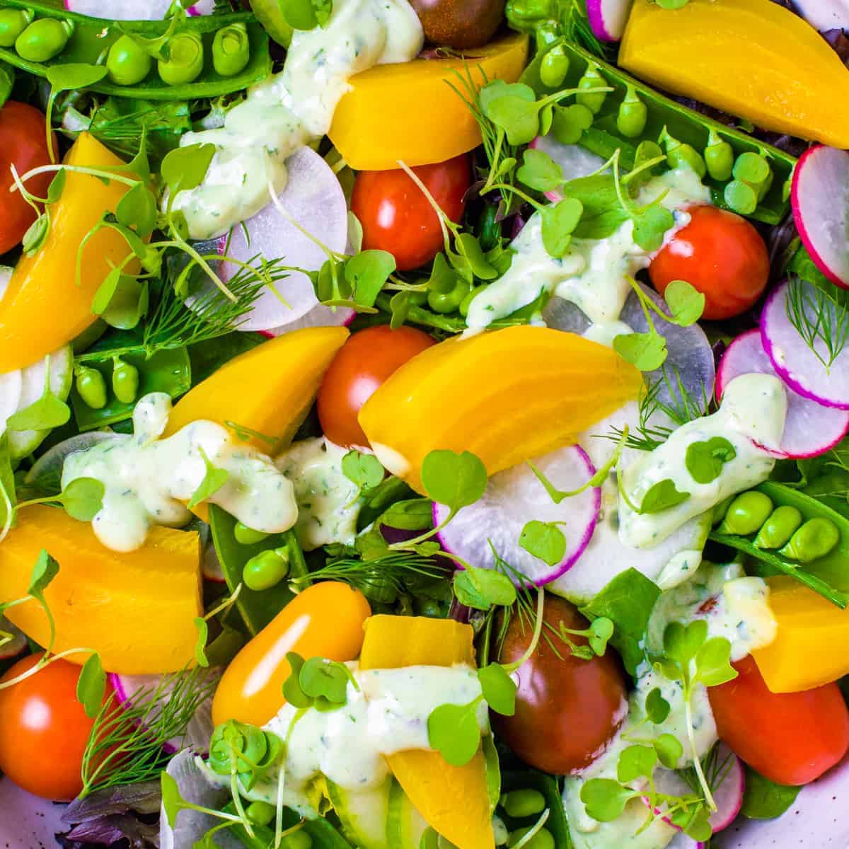 Close up picture of salad with roasted golden beets, radishes, heirloom tomatoes, sugar peas, and an avocado herb dressing.