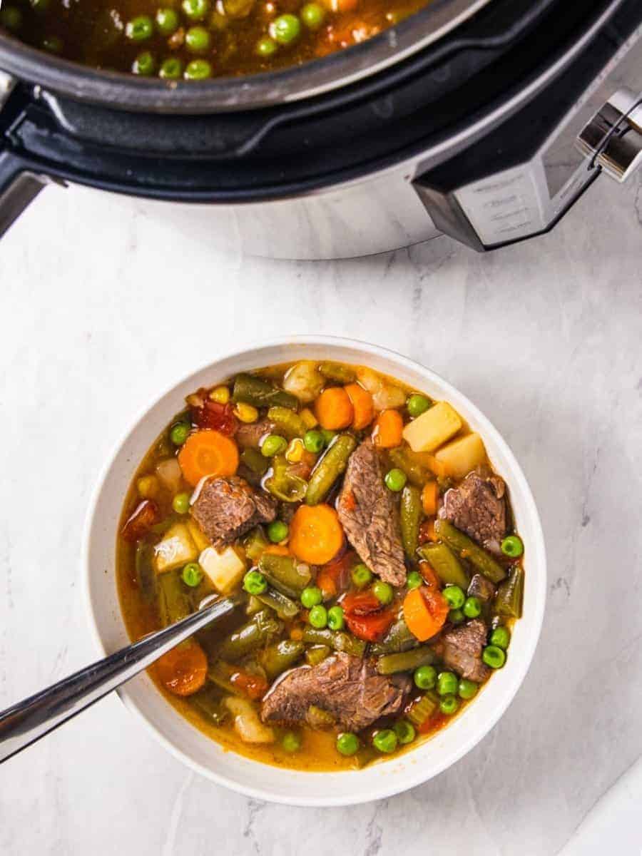 Instant Pot Vegetable Beef Soup - Dishes With Dad