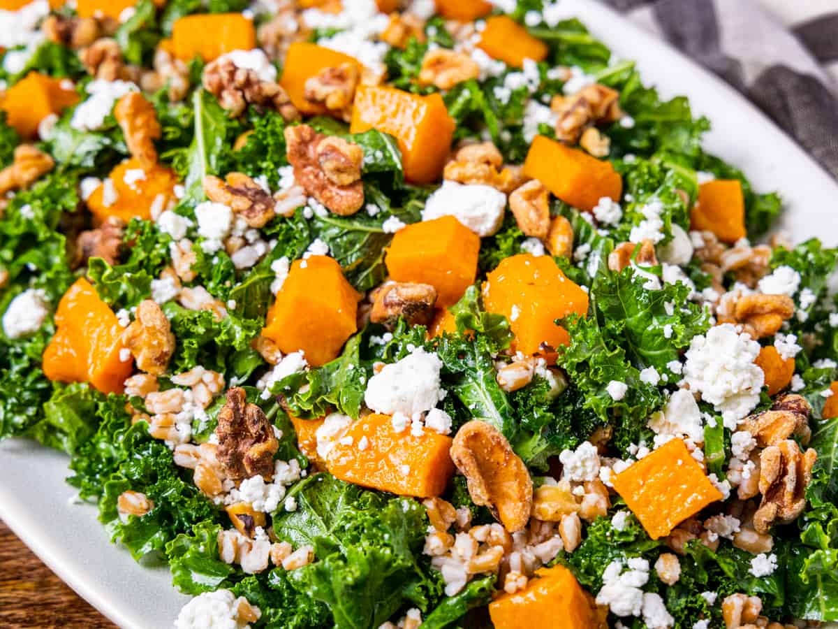 Close up image of the salad showing chunks of roasted butternut squash, goat cheese, and toasted walnuts mixed with kale.