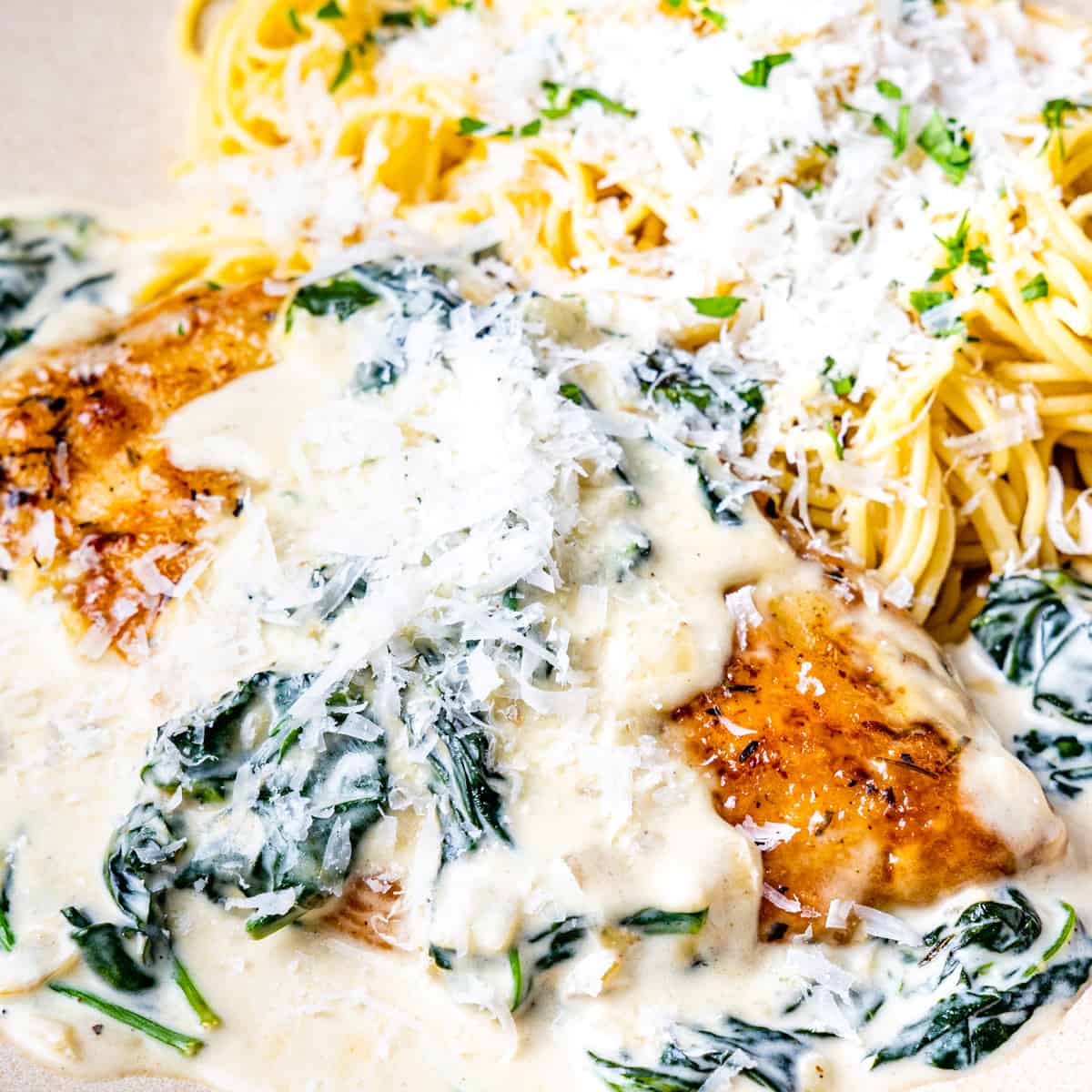 Close up of chicken breast topped with creamy spinach sauce.