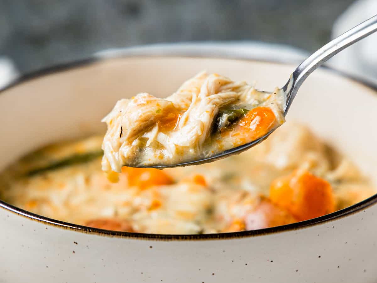 Close up of a spoonful of creamy chicken stew.