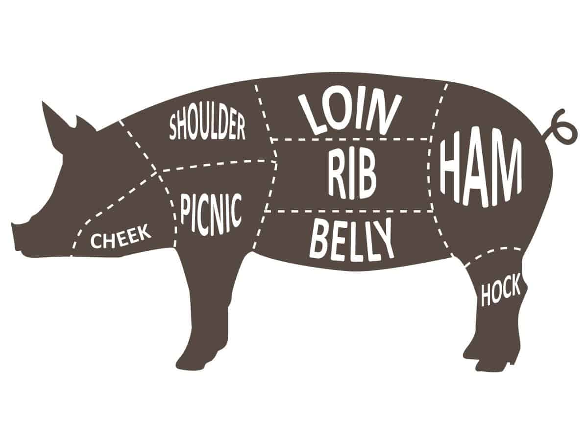 Diagram of common cuts of meat from a pig. 