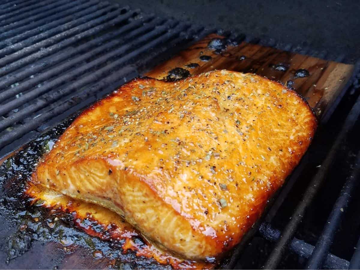 Salmon being cooked on a cedar plank. 