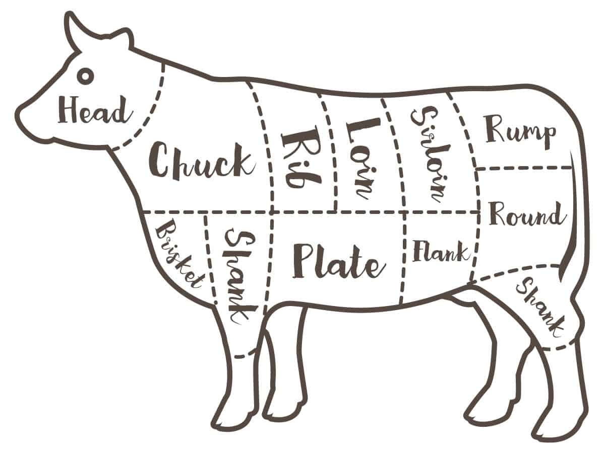 Diagram of a cow showing the location of commons cuts of beef.