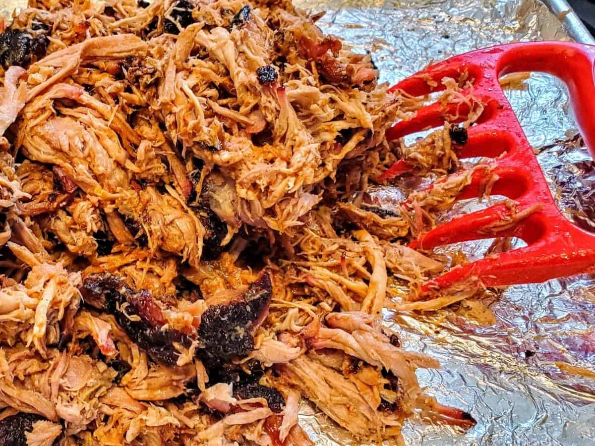 Shredded pork shown on a sheet pan with a red meat claw. 