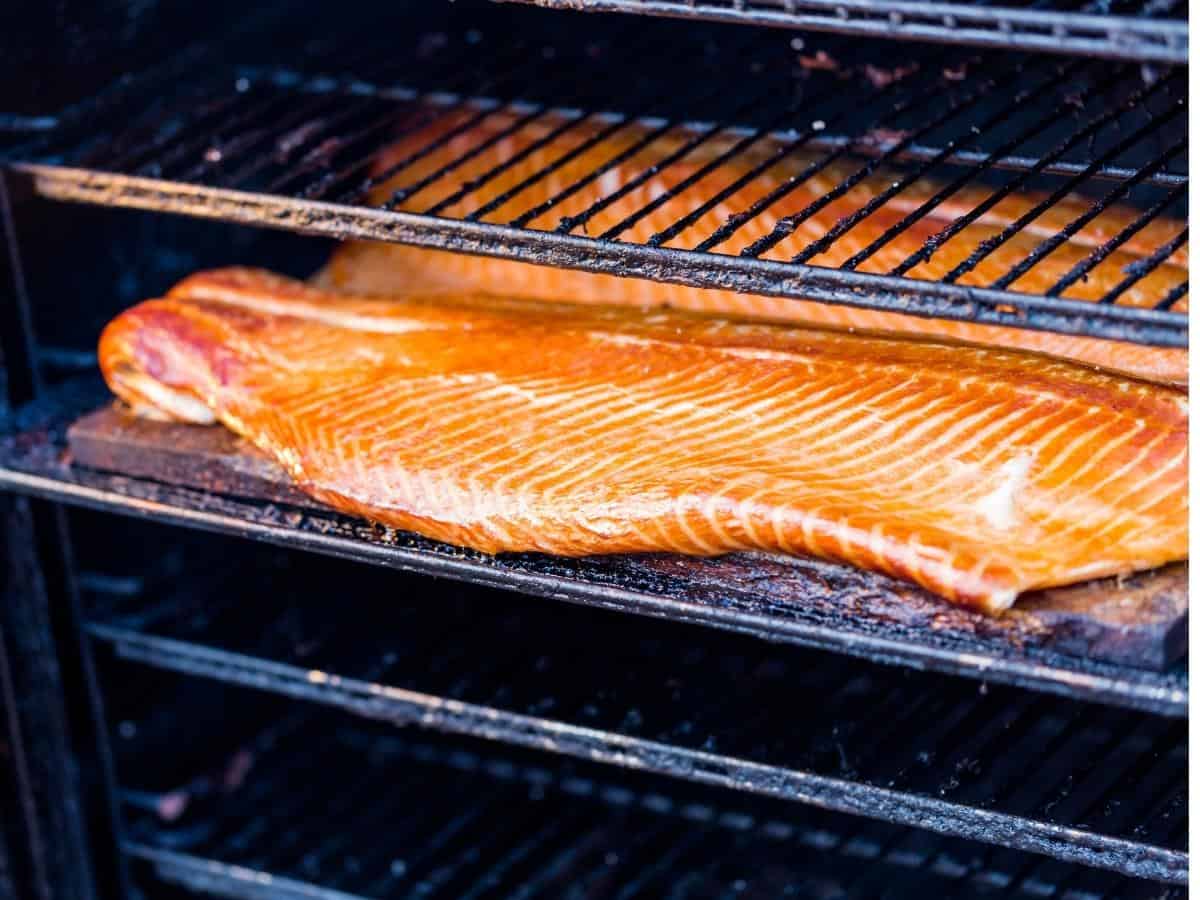 Salmon being smoked in an electric smoker.