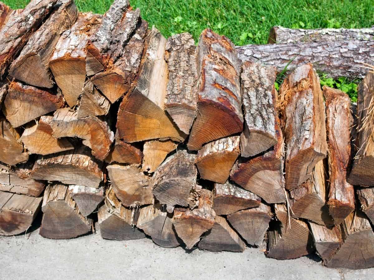 A stack of firewood. 