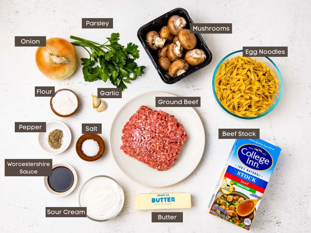 Ingredients for beef stroganoff shown set out on a countertop and individually labeled.