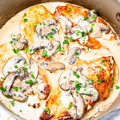Chicken with Creamy Mushroom Sauce - Dishes With Dad
