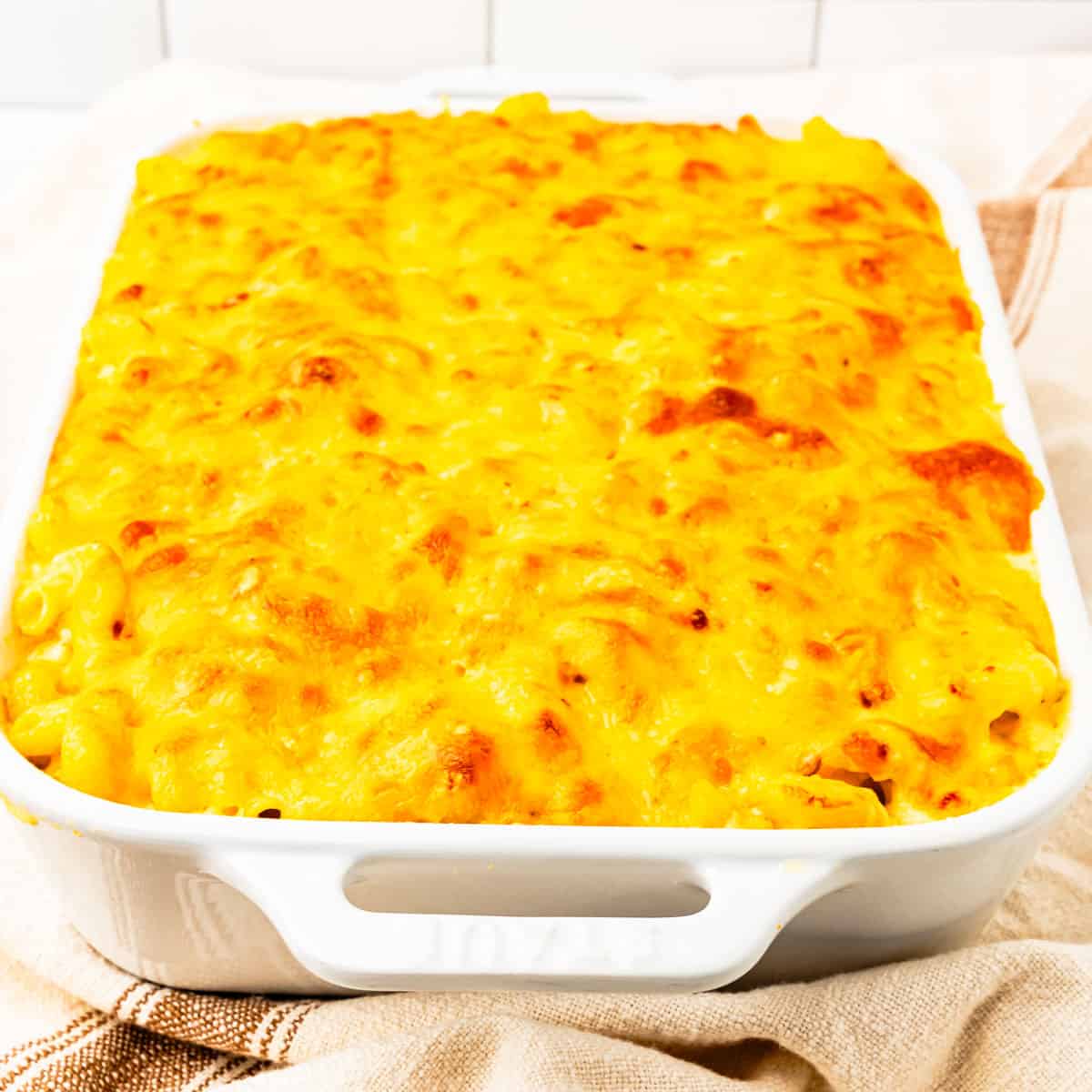 Baked macaroni and cheese in a baking dish. 