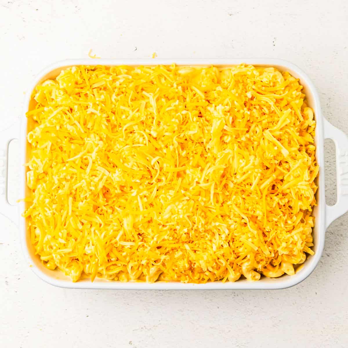 Unbaked macaroni and cheese in a casserole dish topped with shredded cheese. 